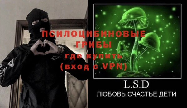сатива Алексин