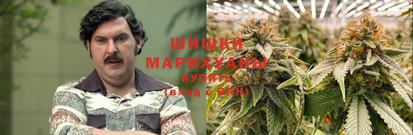 сатива Алексин