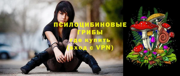 прущий лед Алзамай