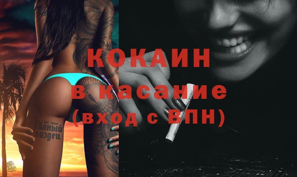 сатива Алексин